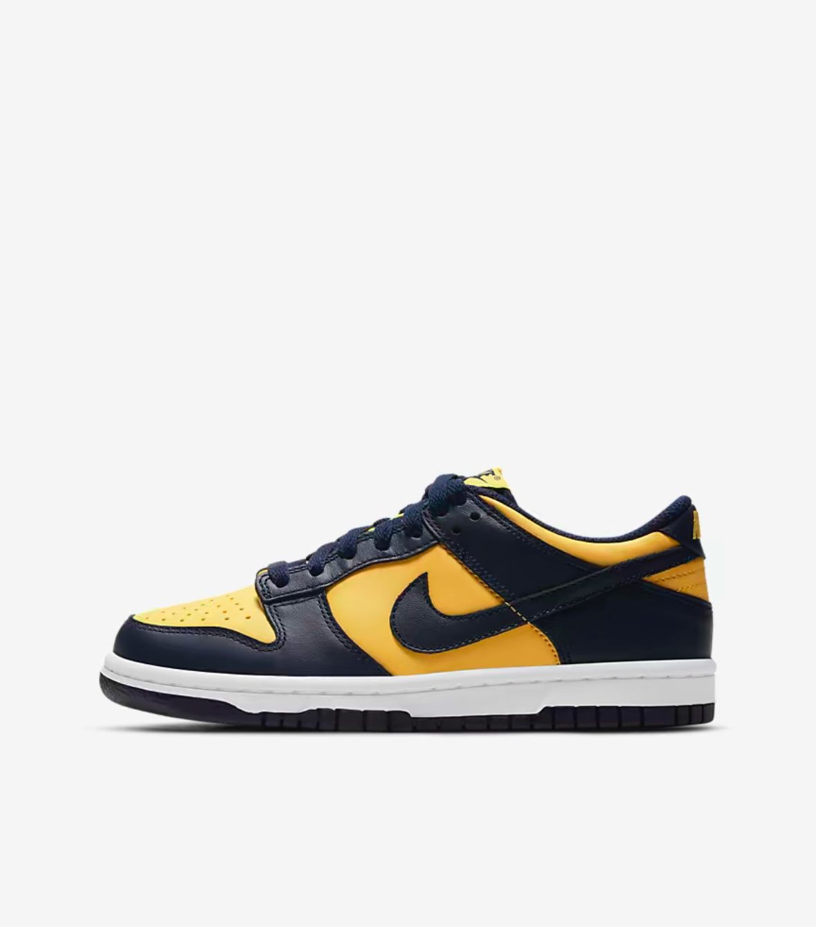 Dunk low Michigan GS