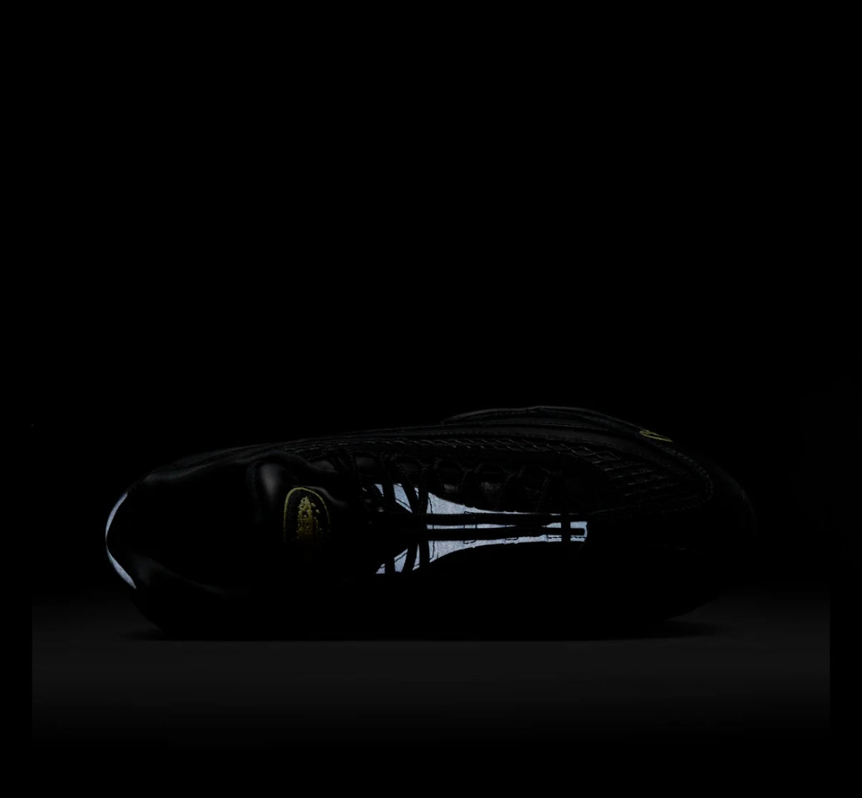 Crtz Air max 95 Honey Blacks