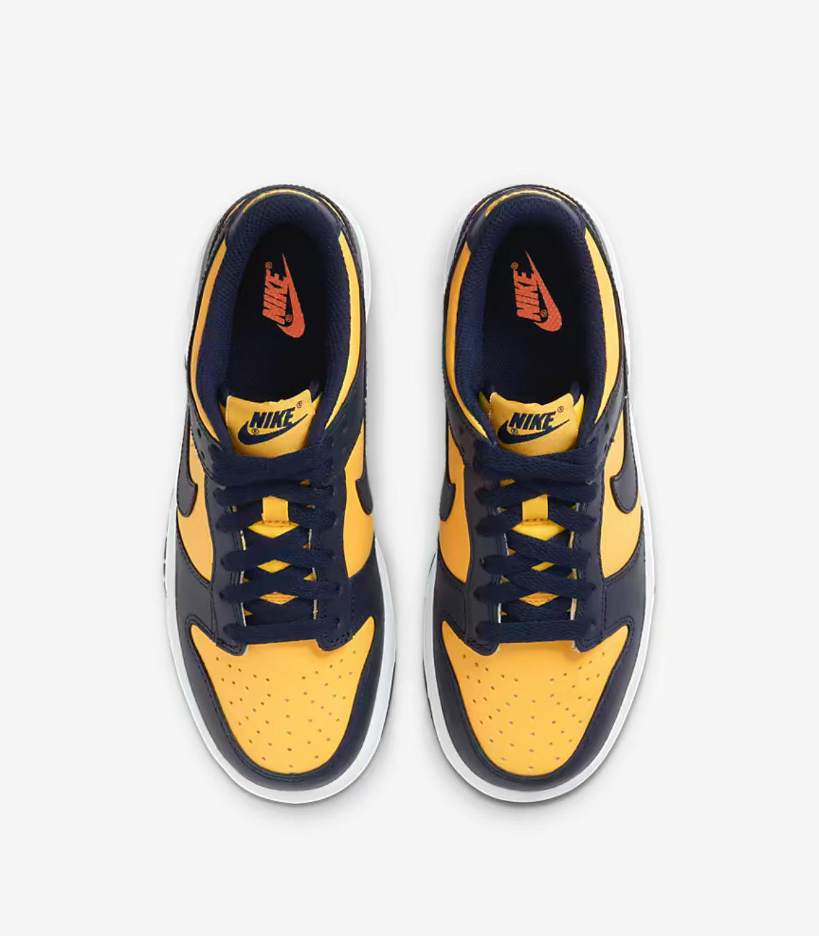 Dunk low Michigan GS