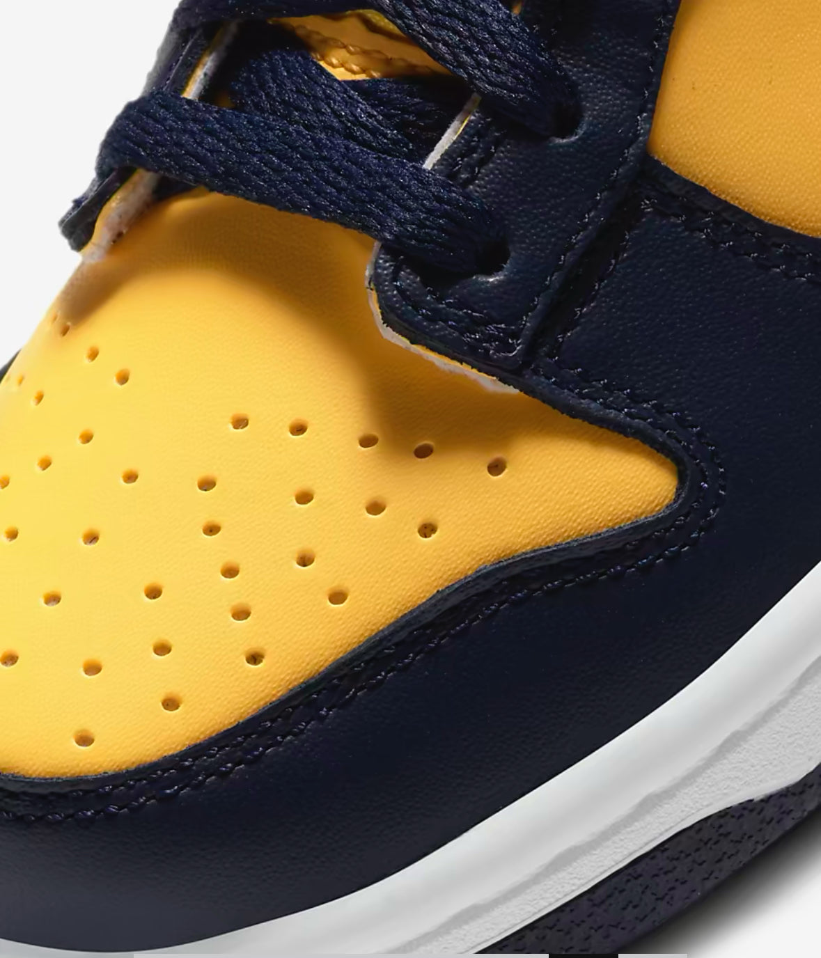 Dunk low Michigan GS
