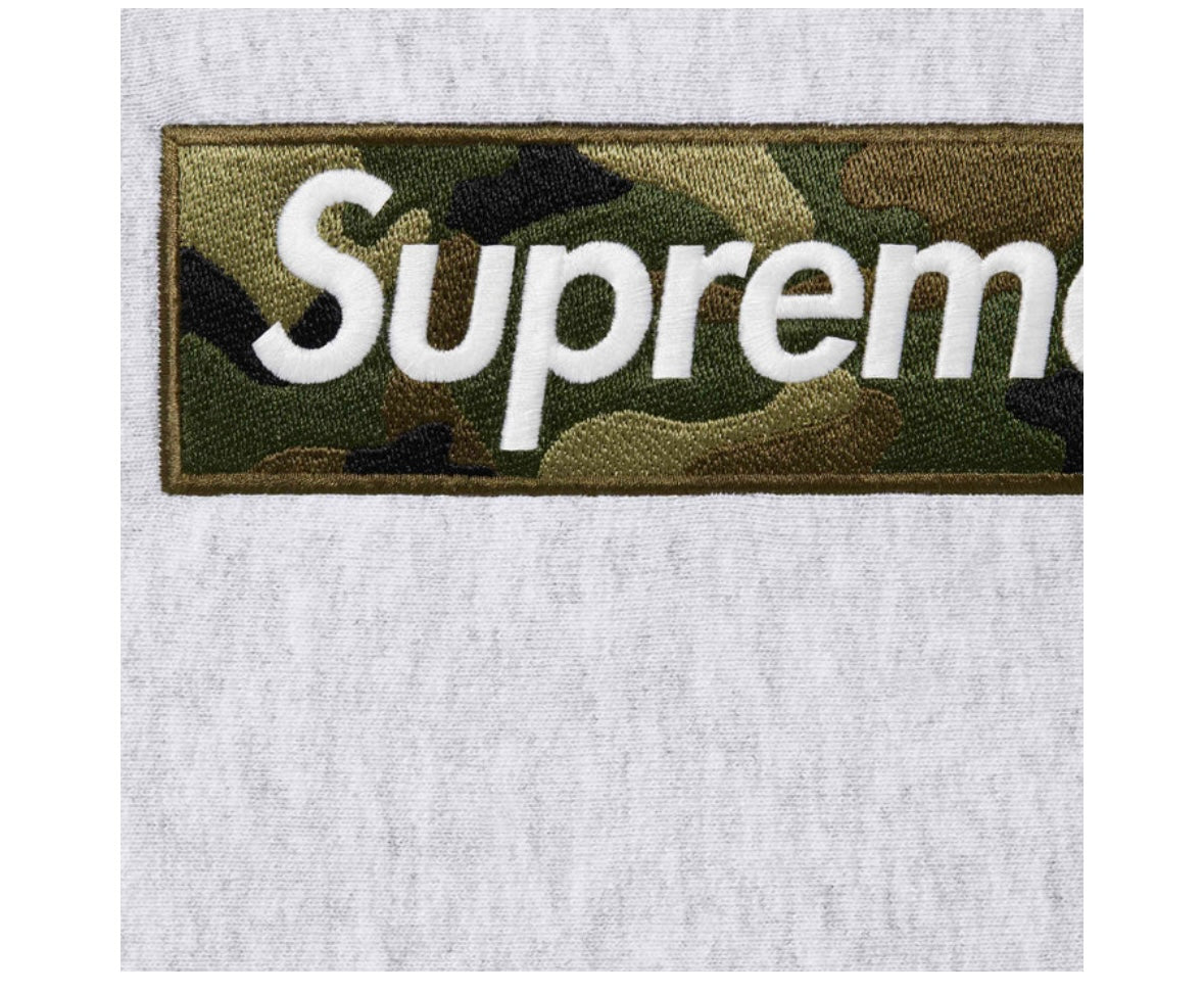 Box Logo Hooded Sweatshirt