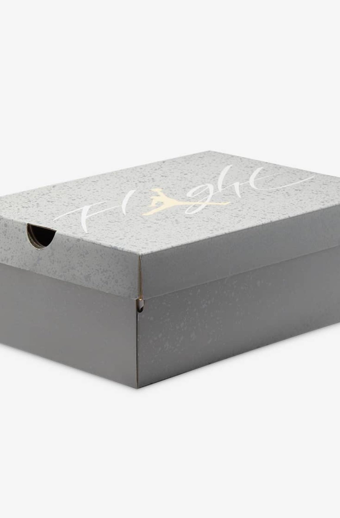 AIR JORDAN 4 SE CRAFT PHOTON DUST