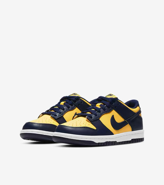 Dunk low Michigan GS