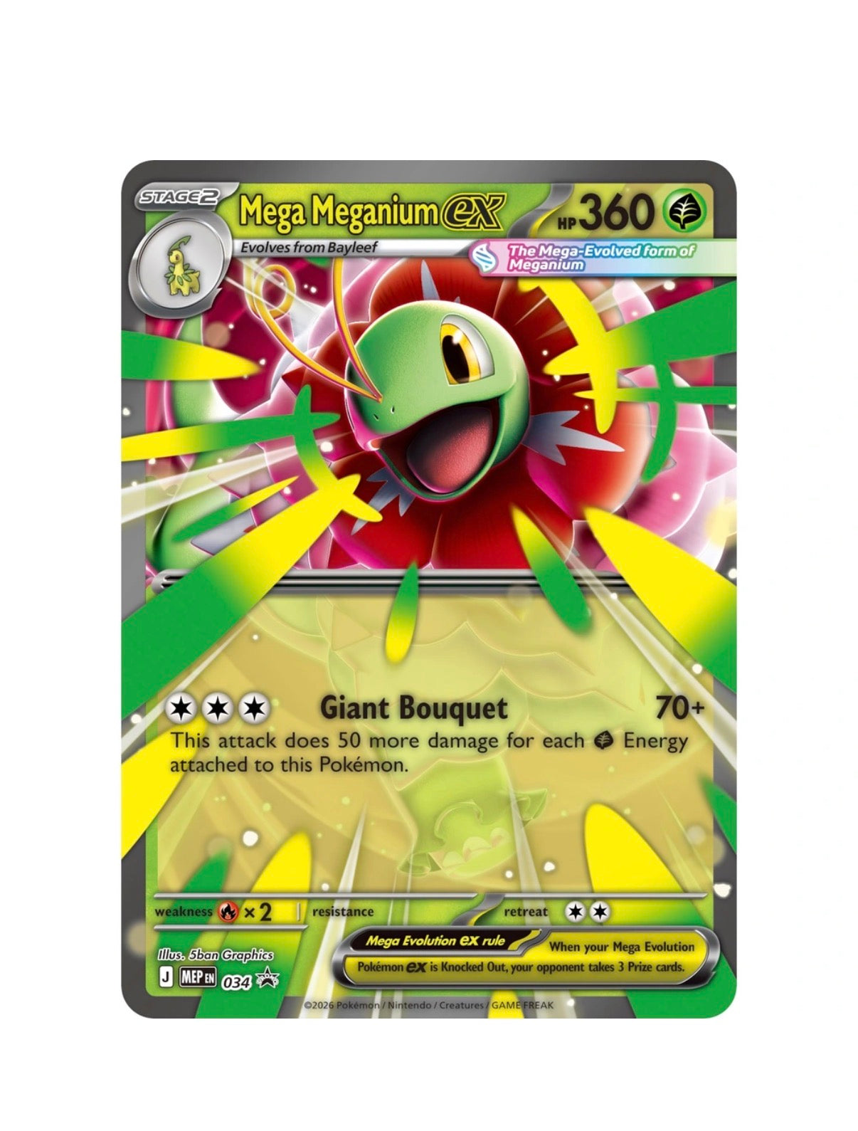 Pokemon Mega Meganium ex Box