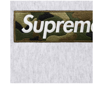 Box Logo Hooded Sweatshirt